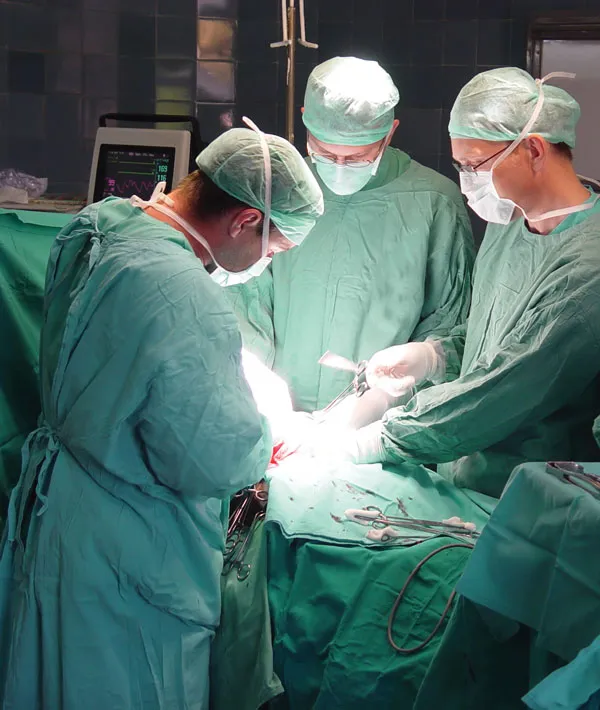 Plastic Surgeons